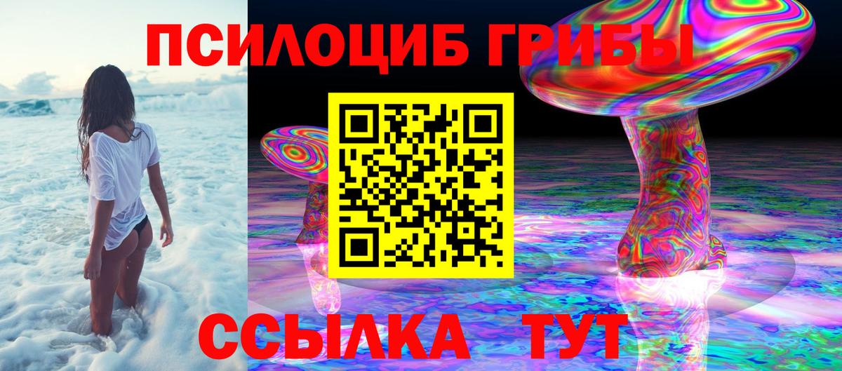 Галлюциногенные грибы Magic Shrooms  Вход с VPN  Кызыл  Галлюциногенные грибы мухоморы 